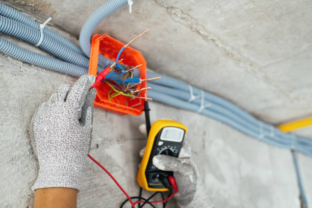 Best Electric Panel Repair  in Belle, WV
